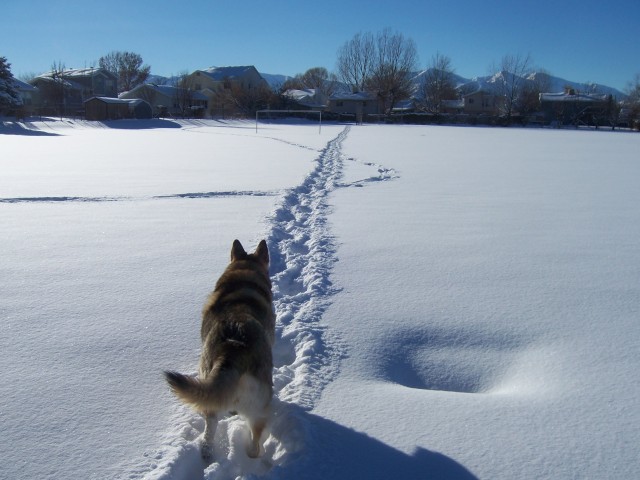 2011 Winter Walk
